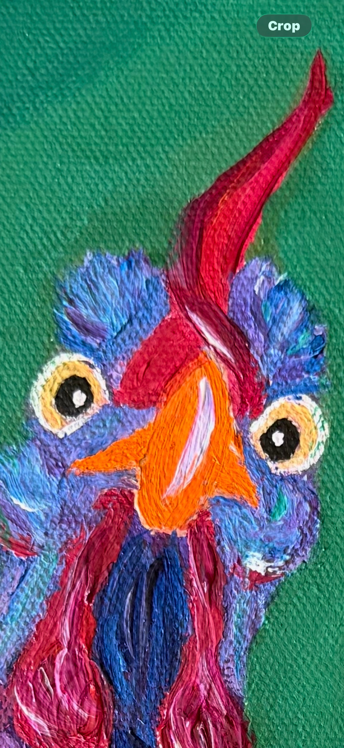 Bossy Bird - Bucky