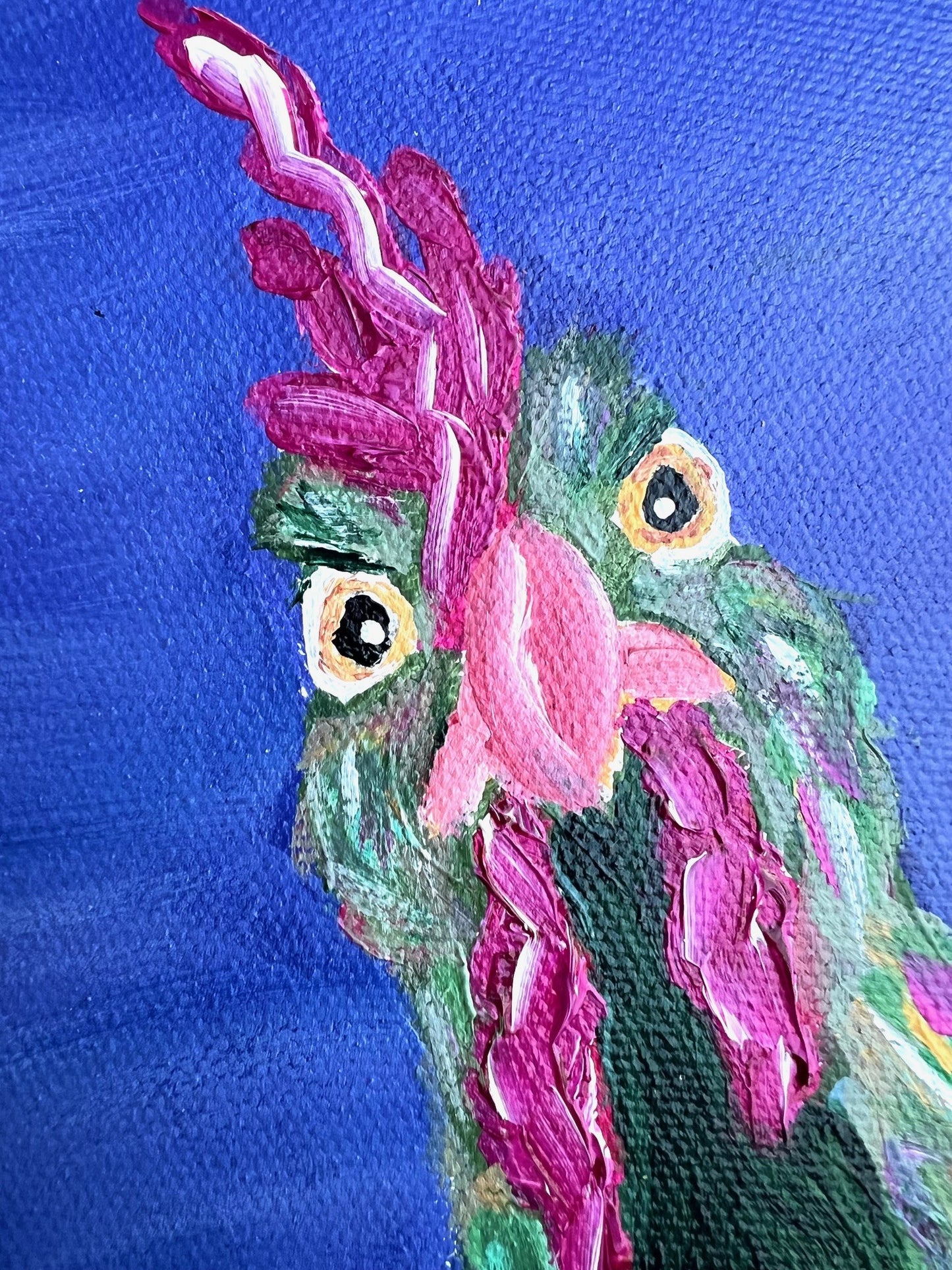 Bossy Bird - Sully