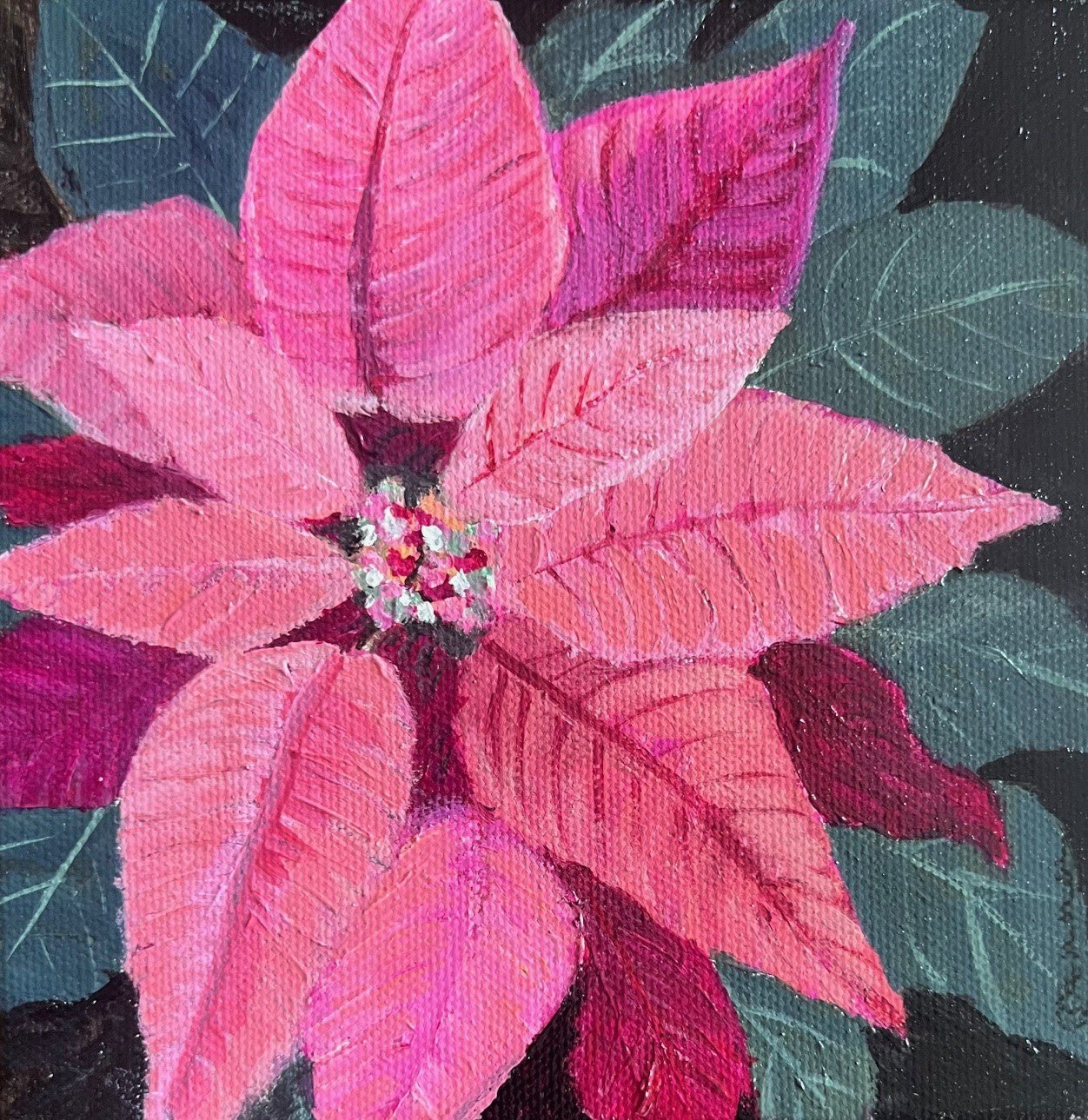 Fun-Sized floral 6 x 6" acrylic on a chunky 1.25" thick canvas - Pink Poinsettia